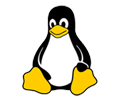 Core features
